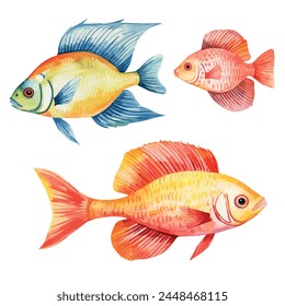 Watercolor clipart of set colorful fish, isolated on a white background, Illustration painting, fish vector, drawing, design art, clipart image, Graphic logo.	