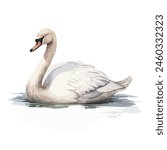 Watercolor clipart of Swan, isolated on a white background, Swan vector, drawing clipart, Illustration Vector, Graphic Painting, design art, logo