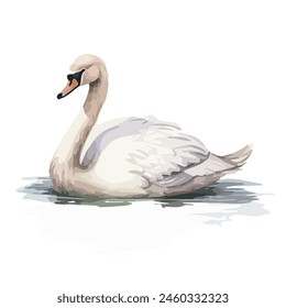 Acuarela Clipart de cisne, aislado sobre un fondo blanco, Vector de cisne, Clipart de dibujo, Vector de ilustración, pintura gráfica, arte de diseño, logotipo