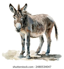 Watercolor clipart vector of Donkey, isolated on a white background, Donkey vector, drawing clipart, Illustration Vector, Graphic Painting, design art, logo