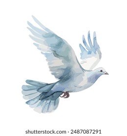 Watercolor clipart vector of pigeon, isolated on a white background, pigeon vector, drawing clipart, Illustration Vector, Graphic Painting, design art, logo