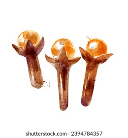 Watercolor clove spices. Isolated eco food ingredient illustration on white background