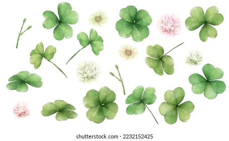 watercolor clover isolated on white background. Clover flowers background. Spring flower pattern.