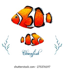 Watercolor Clownfish, isolated on white background. Tropical fish card, postcard & invitation. Elegant concept for Aquarium, Swimming Lessons, Diving courses & Eco Tourism. Element for your design.