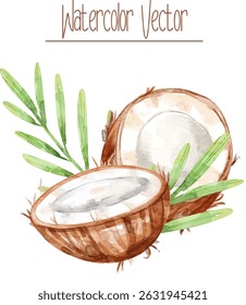 Watercolor Coconut fresh cut with tropical leaves. 