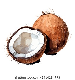 pintura de frutos de coco acuarela aislada en fondo blanco, ilustración de cocos de rodajas, vector, formato EPS