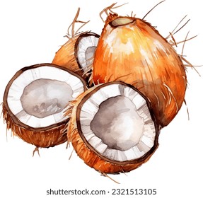 Watercolor Coconut Illustration. Hand-drawn fresh food design element isolated on a white background.