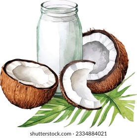 Watercolor Coconut milk vector illustration. Realistic composition of milk glass with coconuts and palm leaves on white background.