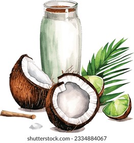 Watercolor Coconut milk vector illustration. Realistic composition of milk glass with coconuts and palm leaves on white background.