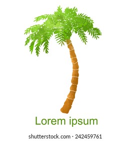 Watercolor coconut palm tree closeup isolated on white background