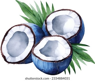 Watercolor Coconut vector with tropical leaves. Isolated on white background.