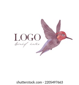 Watercolor Colibri vector on white background. Exotic fauna. Clipart for logo, greeting card and design