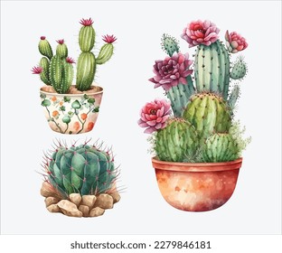 Watercolor collection of cactus in white background