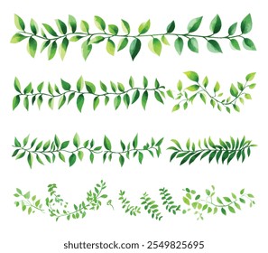 Uma coleção aquarela de ramos de folhas verdes exuberantes e vinhas, apresentando elementos botânicos naturais com folhagem detalhada em branco.
