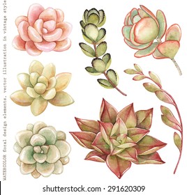 Acuarela de Succulents y Kalanchoe para su diseño, ilustración dibujada a mano.