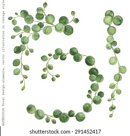 Watercolor collection of succulents String of Pearls, decorative hand-drawn illustration for your design.
