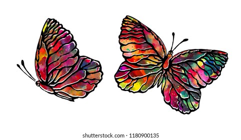 Watercolor colored butterfly object. Anfas and profile. Vector