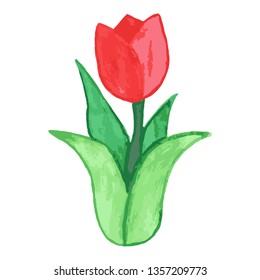 Watercolor colored Tulip flower pattern, flat design