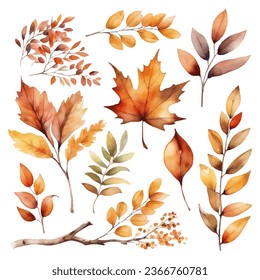 Watercolor colorful autumn foliage vector collection set