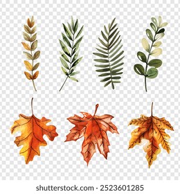 Watercolor colorful autumn foliage vector collection set illustration isolated on transparent background