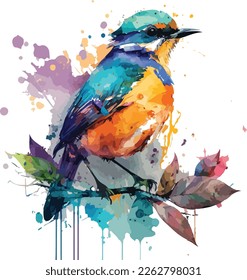 Watercolor Colorful Bird Vector Design