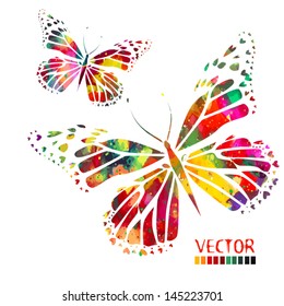 watercolor colorful butterflies