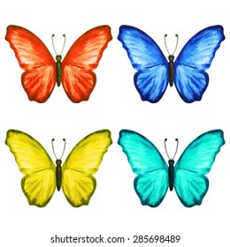 Watercolor colorful butterflies set closeup isolated on white background. Hand painting on paper