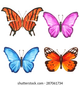 Watercolor colorful butterflies set closeup isolated on white background. Hand painting on paper