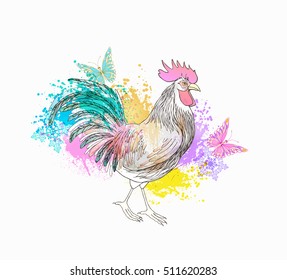  Watercolor  colorful cock. Vector design.