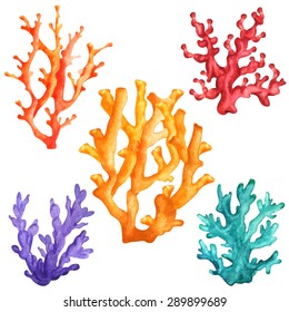Watercolor colorful corals set closeup isolated on white background. Hand painting on paper