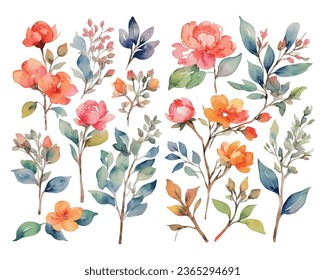 watercolor colorful flower element set isolated on white background