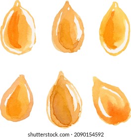 Watercolor colorful Hand-drawn sketch of sesame. Herbs, spices, seeds, seasoning