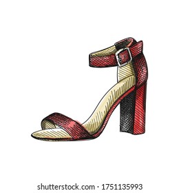 Watercolor colorful Hand-drawn sketch of women shoes. Block Heel shoes. Stylish and fashionable shoes. Shoes for walking. Feet accessories.	
