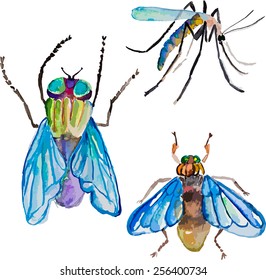 watercolor colorful insects