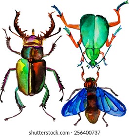 watercolor colorful insects