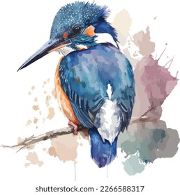 acuarela colorida kingfisher vector de aves con fondo blanco