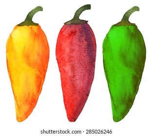 Watercolor colorful peppers set closeup isolated on white background. Hand painting on pape