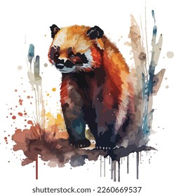 Watercolor Colorful Red Panda Vector