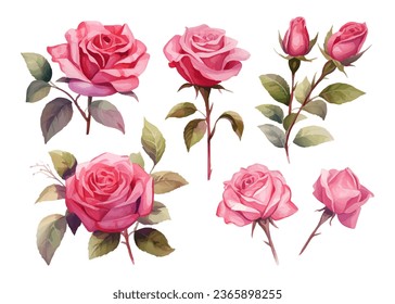 watercolor colorful red rose element set isolated on white background