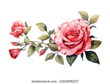 watercolor colorful red rose element set isolated on white background