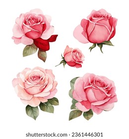 watercolor colorful rose bouquets in various shades of pinks and whites free vector, light green and yellow, circular shapes, isolated on white background