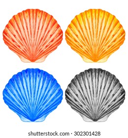 Watercolor colorful scallop sea shells set closeup isolated on white background. Hand painting on paper