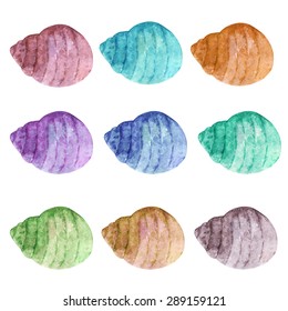 Watercolor colorful sea shells set isolated on white background. Hand painting on paper