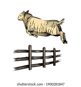 Watercolor colorfull Hand drawn sketch of sheep jumping over the fence on a white background. sketch of sheep jumping. Going to sleep. Sleeping set. Counting sheep to sleep	