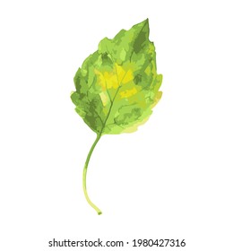 Watercolor colourful autumn leaf. Template for banner, poster, packaging, postcard, web design. Hand Drawn vector illustration.