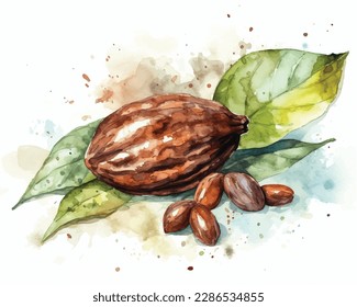 Composición de acuarela con vástagos de cacao sobre fondo blanco, vista superior