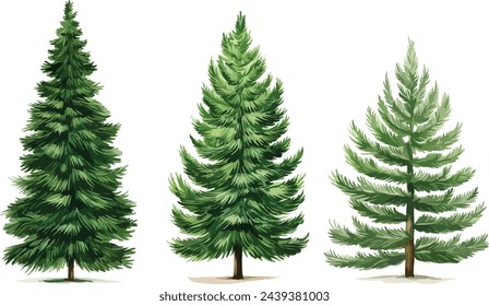 Watercolor coniferous forest, Christmas tree vector illustration for holiday cards, greeting cards