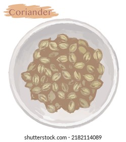 Watercolor Coriander Seeds. Vector Illustration.	