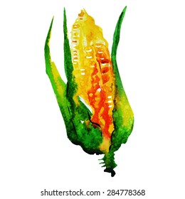 watercolor corn 