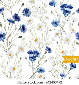 Watercolor, Cornflower, Daisy Pattern